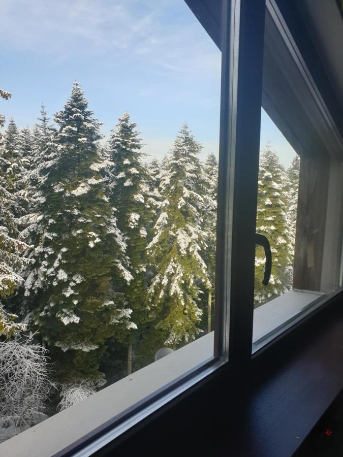 Borovets Forest View Luaran gambar