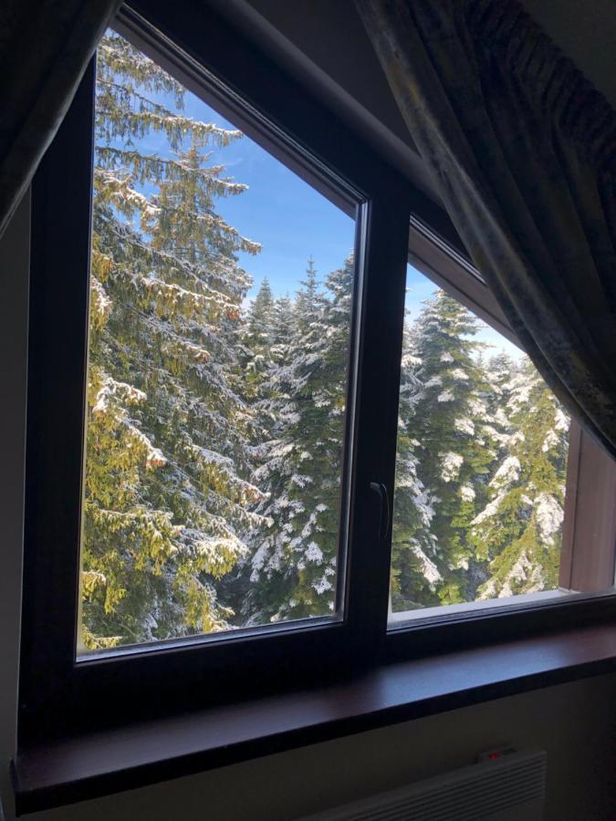 Borovets Forest View Luaran gambar