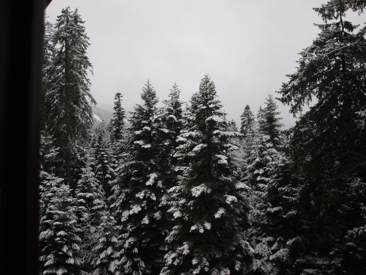 Borovets Forest View Luaran gambar